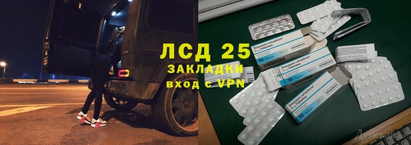 крисы Каменка