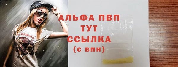 крисы Каменка