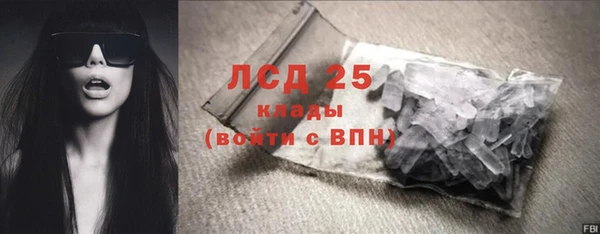 крисы Каменка