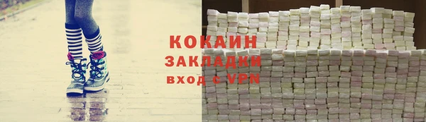 крисы Каменка