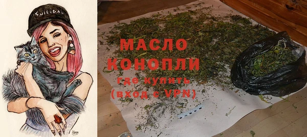 крисы Каменка
