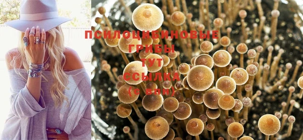 молекула духа Каменск-Шахтинский
