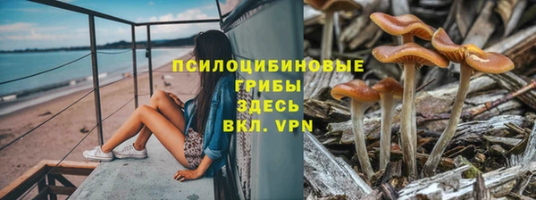 молекула духа Каменск-Шахтинский