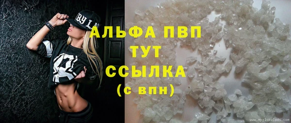молекула духа Каменск-Шахтинский