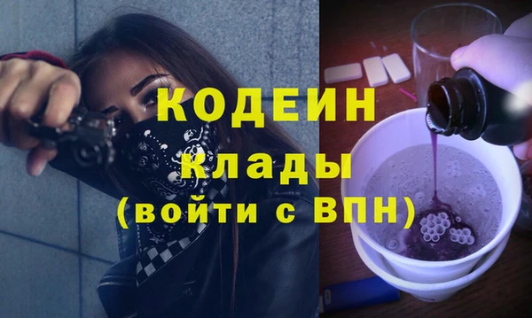 крисы Каменка