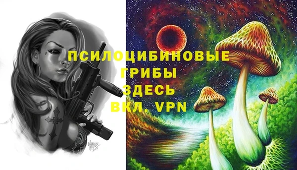 крисы Каменка