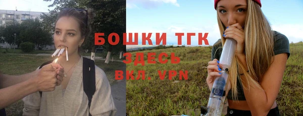 крисы Каменка