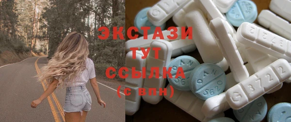 крисы Каменка